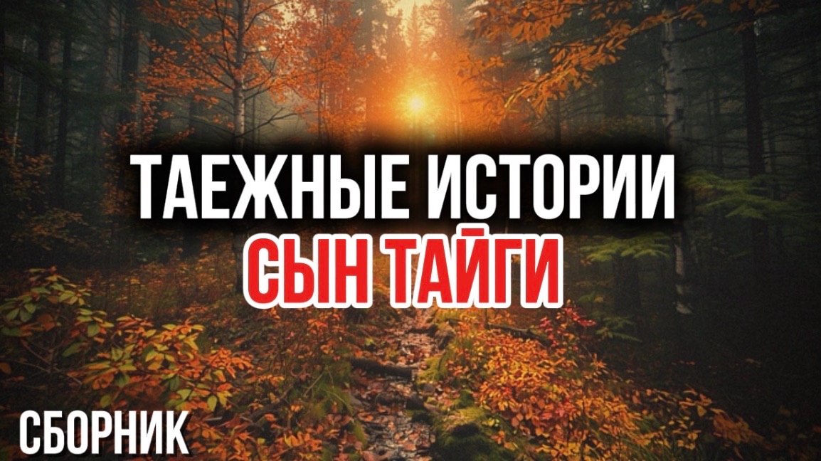 Таежные рассказы  СЫН ТАЙГИ