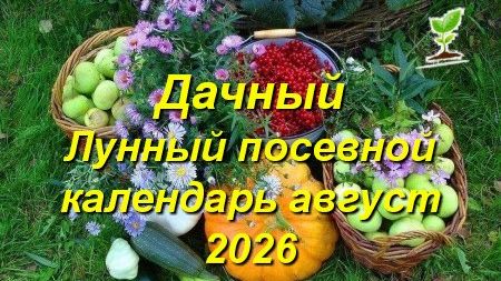 Лунный посевной календарь на август 2026 года для садоводов и огородников