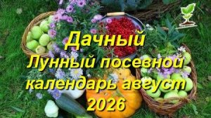 Лунный посевной календарь на август 2026 года для садоводов и огородников