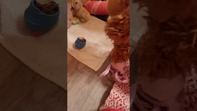 ролик с моей подругой и её плюшевой собачкой смотреть онлайн