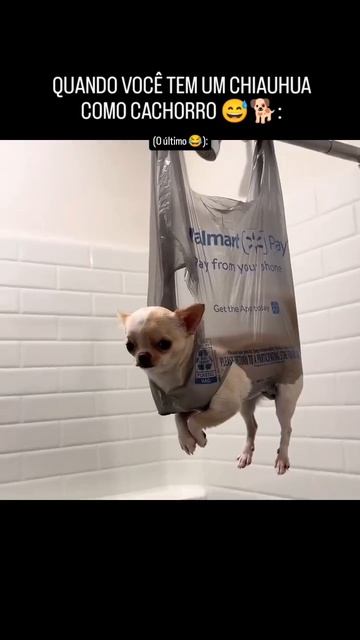 101
