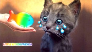 ПРИКЛЮЧЕНИЯ МАЛЕНЬКОГО КОТЯНА
