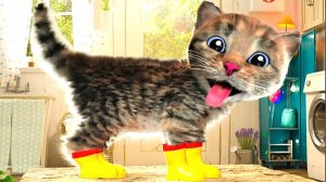 МИЛЫЙ МАЛЕНЬКИЙ КОТЕНОК ПРИКЛЮ