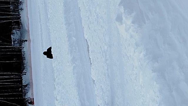 016 смотреть онлайн