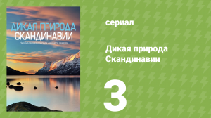 Дикая природа Скандинавии 3 серия (документальный сериал, 2011)