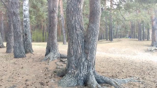 071 смотреть онлайн