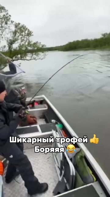 Шикарный трофей 🎣👍 Боря 😂