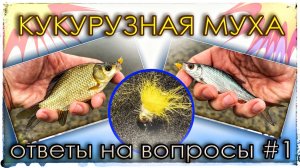 Плотва не пропускала эту приманку! Рыбалка на новом водоёме в Мормостиле. Ответы на вопросы #1.