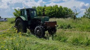 Трактор Т-40АМ косит траву!