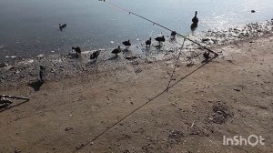 Рыбалка на Чемском. Новосибирск.