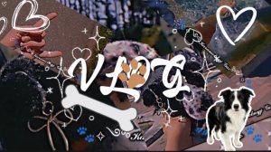 VLOG