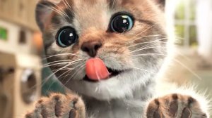 МАЛЕНЬКИЙ КОТЕНОК ПРИКЛЮЧЕНИЯ