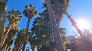 ROYAL GARDEN BEACH HOTEL 5* СМОТРИМ ВМЕСТЕМОРЕ БАРЫ АТМОСФЕРА ШАМПАНСКОЕ