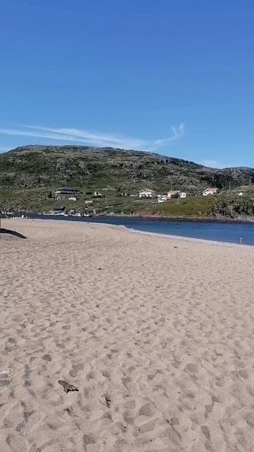 ТЕРИБЕРКА😍