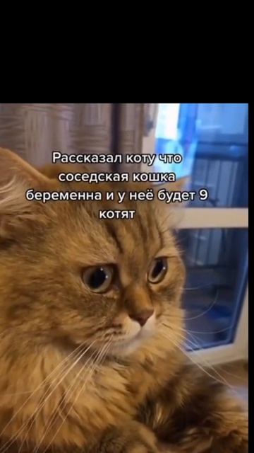 Вот это поворот
