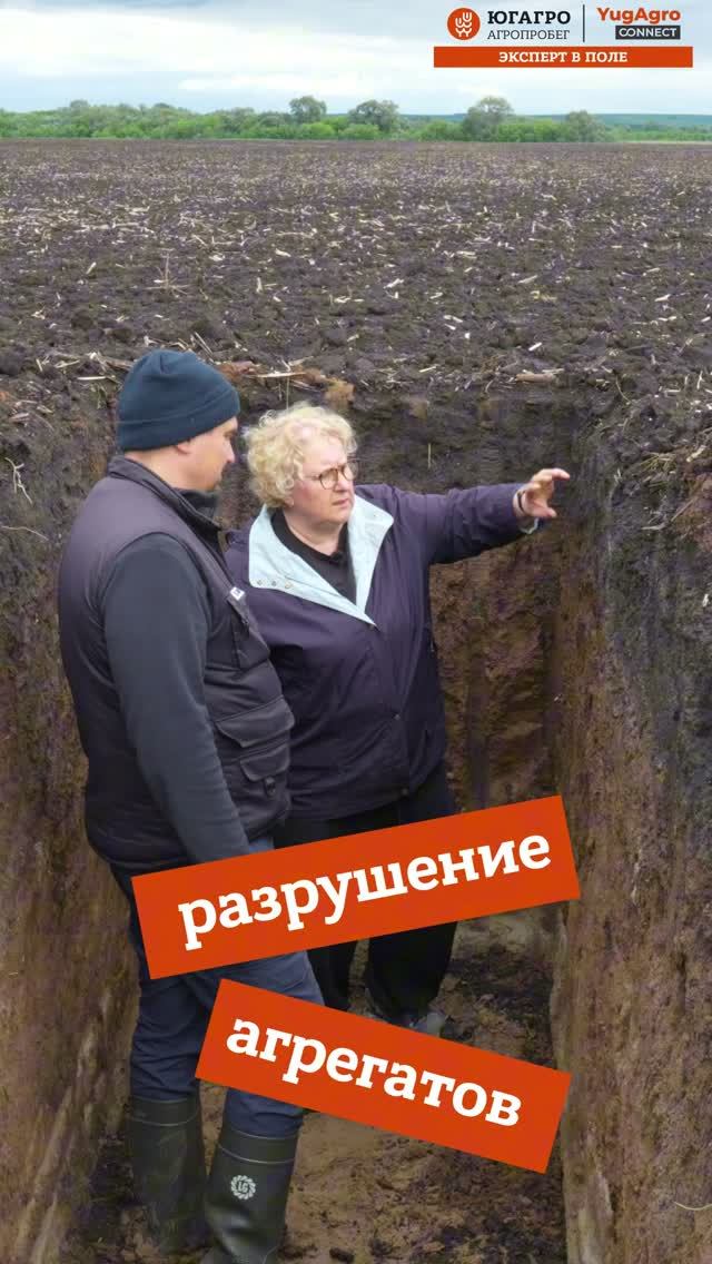 Чем маленькое хозяйство сильнее? Опыт СХП «АгроАктив», Татарстан, в новой серии Агропробега-«ЮГАГРО»