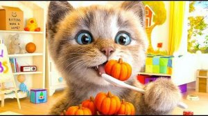 Милое кошачье приключение с ты