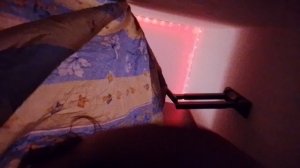 24 часа в доме у кота!!!/ПРАНК МАМЫ