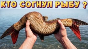 ГНУТАЯ РЫБА ( Out Fishing )