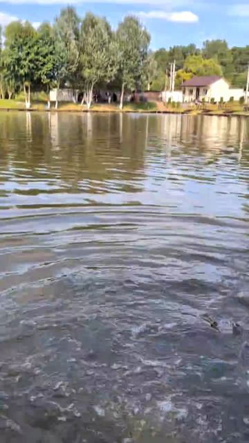 1000101275.mp4 смотреть онлайн