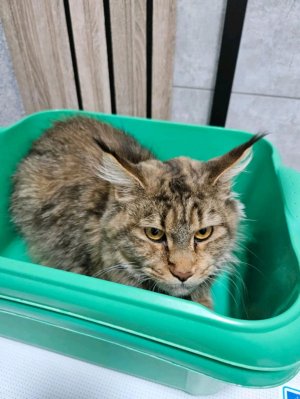тренюсь+задания(мне кто смотреть будет?)