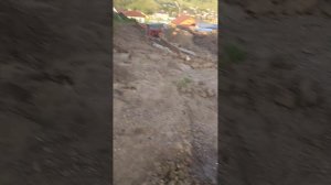 показываю свой огород
