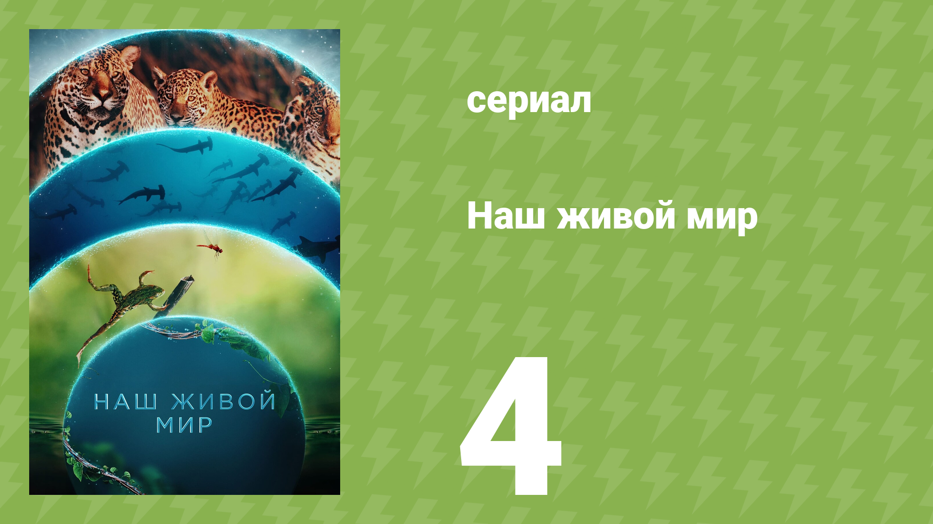 Наш живой мир 1 сезон 4 серия (документальный сериал, 2024) смотреть онлайн