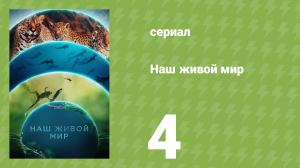 Наш живой мир 1 сезон 4 серия (документальный сериал, 2024)
