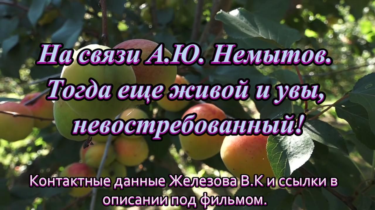 На связи А.Ю. Немытов. Тогда еще живой и увы, невостребованный!