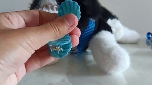 ~кормёжка+уходик~ МЫ НА МОРЕ! 🥳