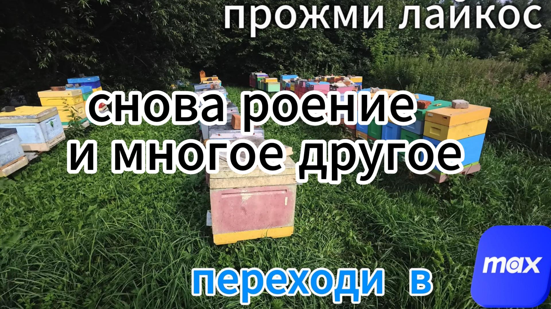 19,07 Мои будни #пчелы #топ #рек #пчеловодство смотреть онлайн