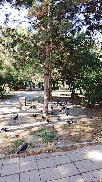 738.mp4 смотреть онлайн