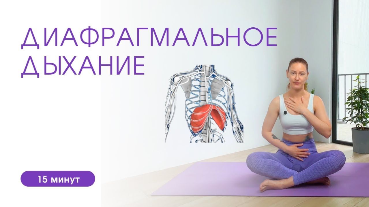 Анатомия йоги