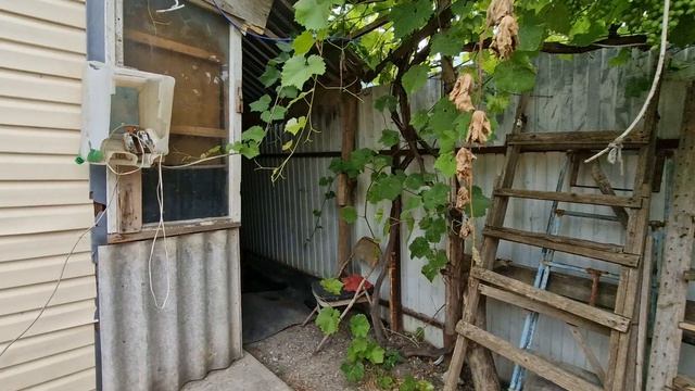 13433311 смотреть онлайн