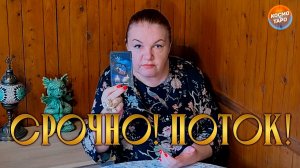 ПОТОК. ПРОСТО СИДИ И СМОТРИ! | Гадание таро расклад