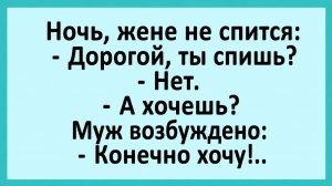 Ночь, жене не спится: Дорогой, ты спишь?... | Анекдоты смешные | Юмор