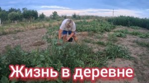 Наталья Губарева. ЖИЗНЬ В ДЕРЕВНЕ ⧸ ОГОРОДНЫЕ ДЕЛА #villagelife
