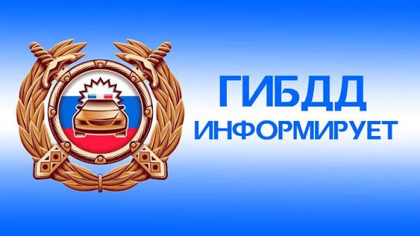 НИВУ Тревел, взяли в плен! смотреть онлайн