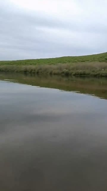 Вот, зараза такой, разрешил порулить.