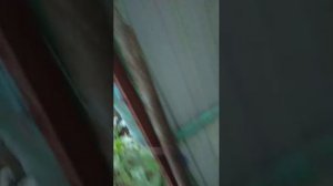 ч/асть7