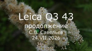 С.В. Савельев - Leica Q3 43, продолжение