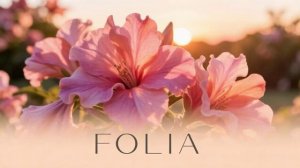 Folia Radiophonica - chapter 173