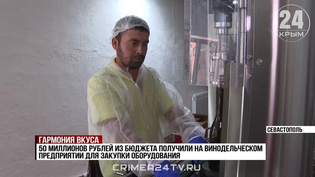 Полный цикл от лозы до бокала: как в Севастополе развивается винодельческая отрасль