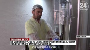 Полный цикл от лозы до бокала: как в Севастополе развивается винодельческая отрасль