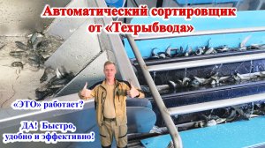 Автоматический сортировщик от Техрыбвода в работе