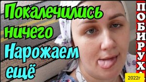 Деревенский дневник очень многодетной мамы _Покалечились - ничего. Нарожаем ещё _Обзор Влогов _Мать_