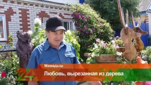 Семья из Мамадыша создала уникальный ландшафтный уголок