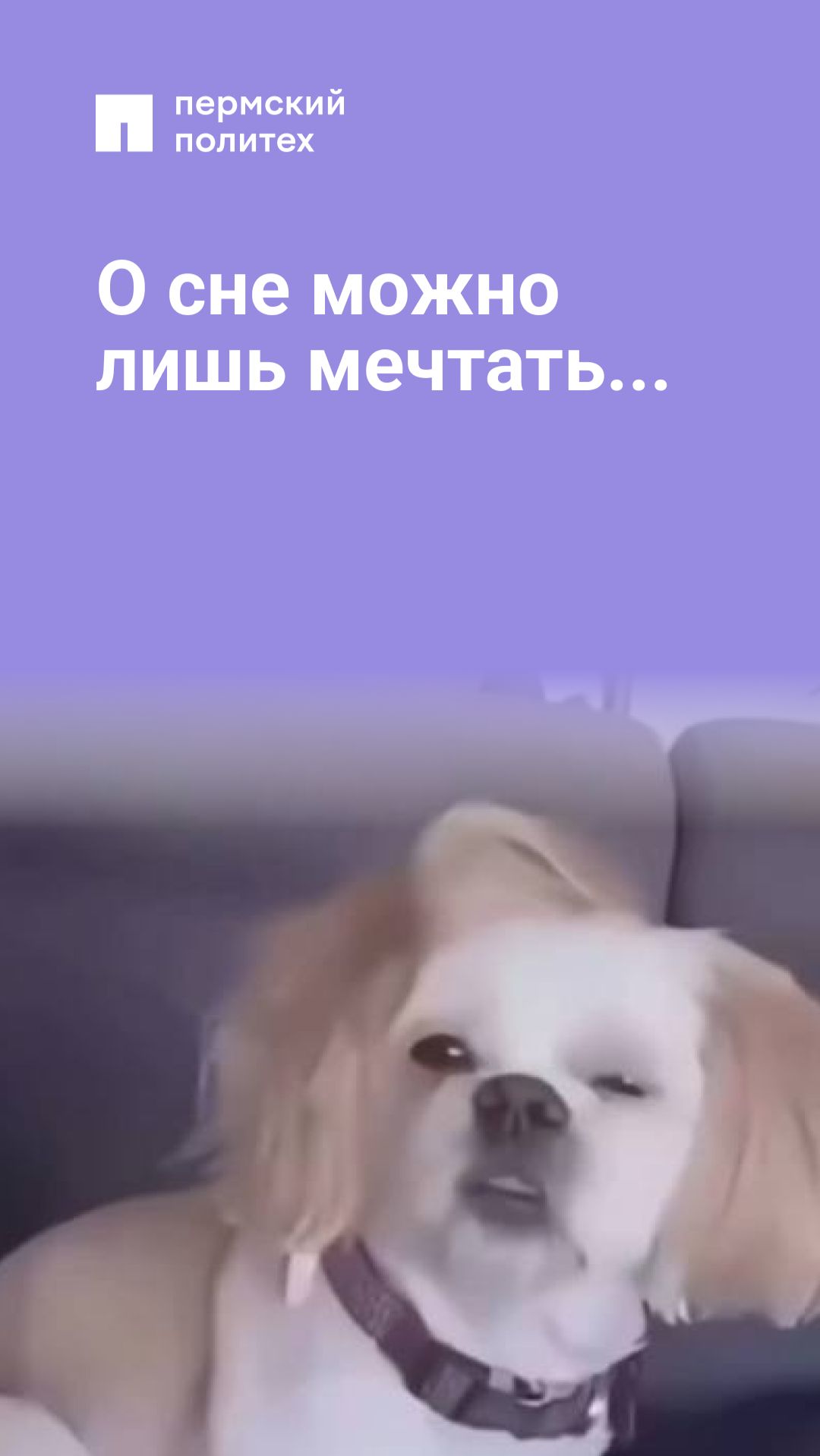 О сне можно лишь мечтать...