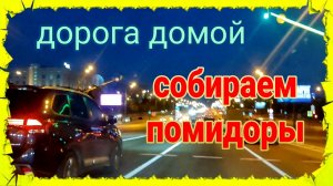 Я с тобой никуда не поеду! Собираем огурцы и помидоры. Дорога домой. Ейск.