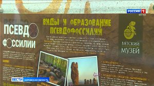 В Вятском палеомузее кировчане узнали, как отличить настоящую окаменелось от ложной